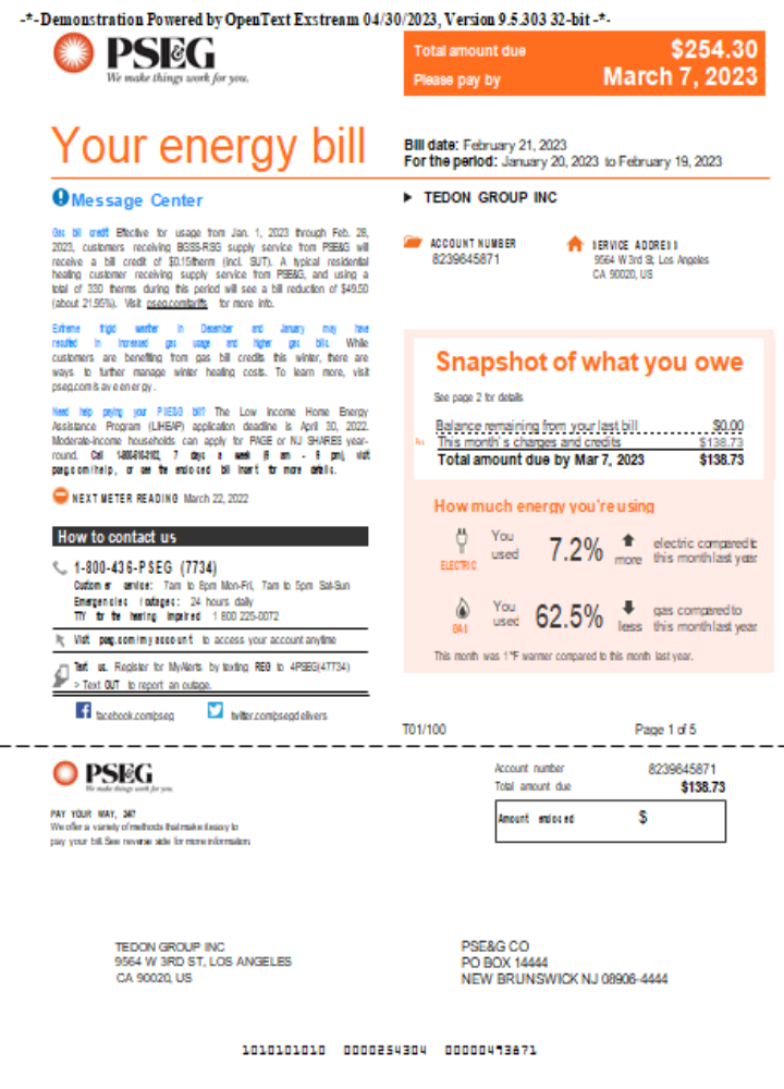 New York PSEG utility business bill,  page 1, SCR PSD template